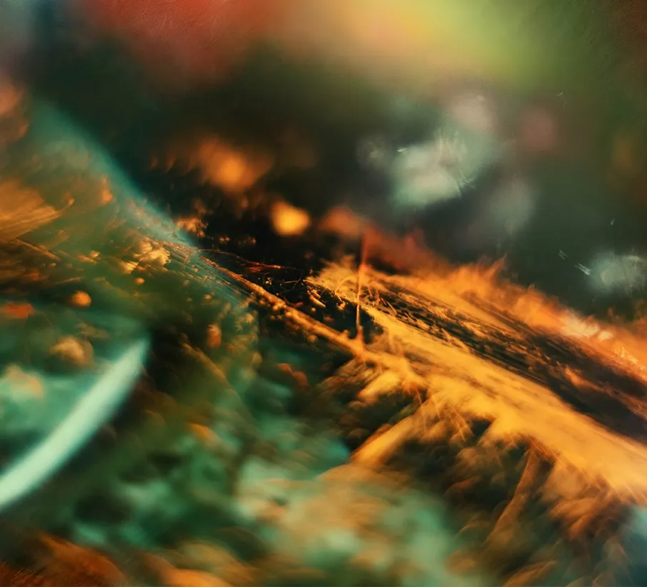 Abstract vibrant colours and textures.