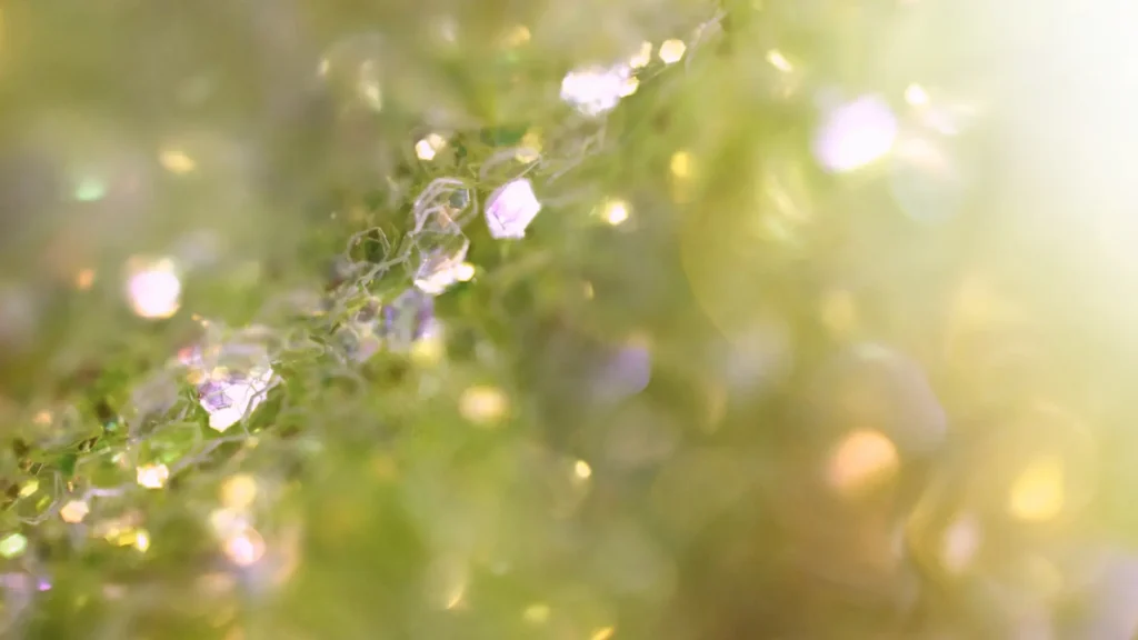 Soft, shimmering green and white lights