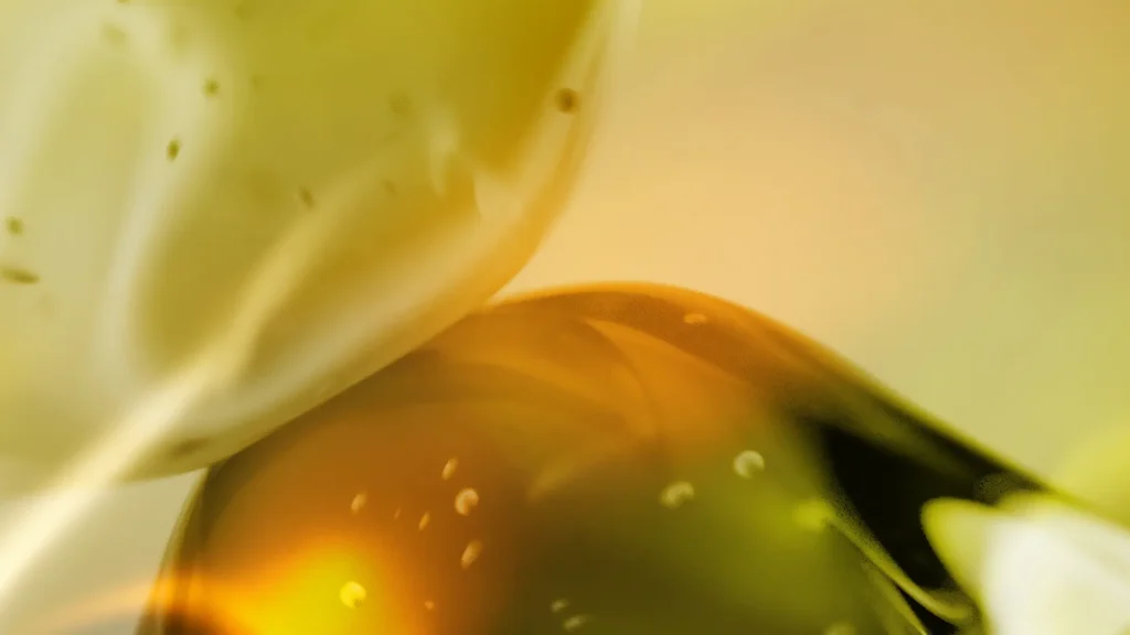Abstract shapes in warm colours.