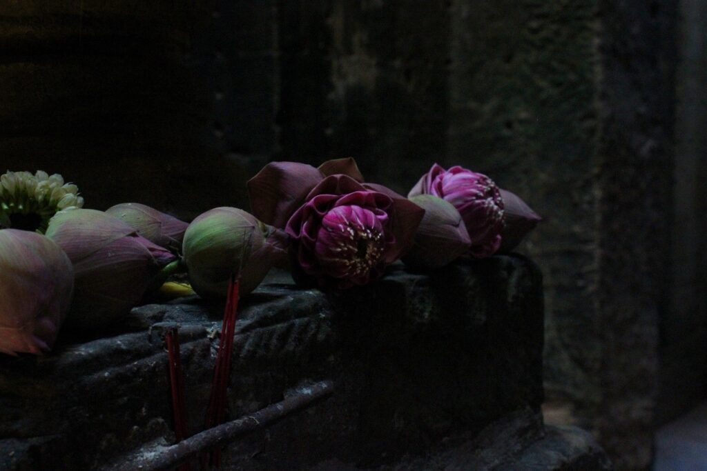 Lotus flowers arranged on stone