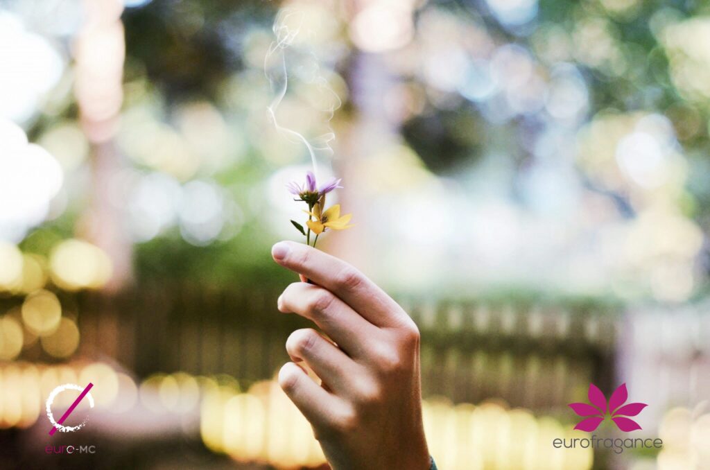 Hand holding flowers with smoke, as a campaign against tobacco