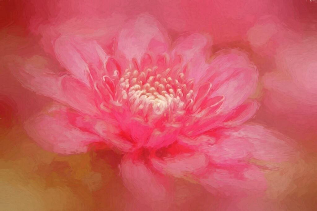 Vibrant pink flower with soft petals painting